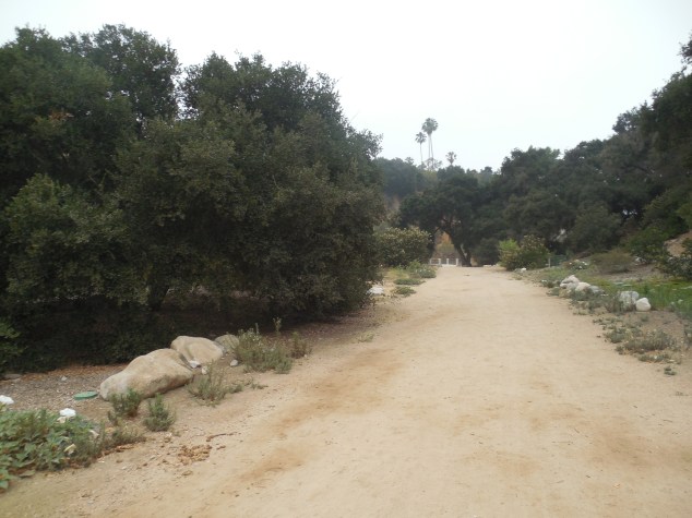 LowerArroyo (2)
